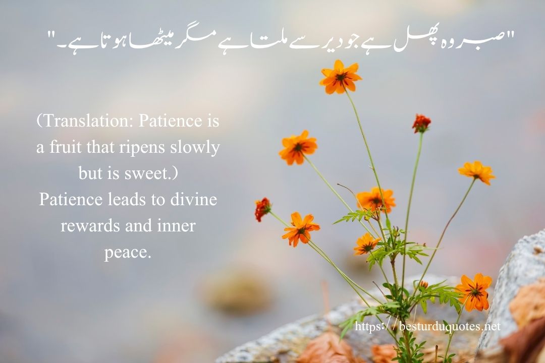 100 Best Motivational Quotes in Urdu to Inspire Your Day 9 100 Best Motivational Quotes in Urdu to Inspire Your Day