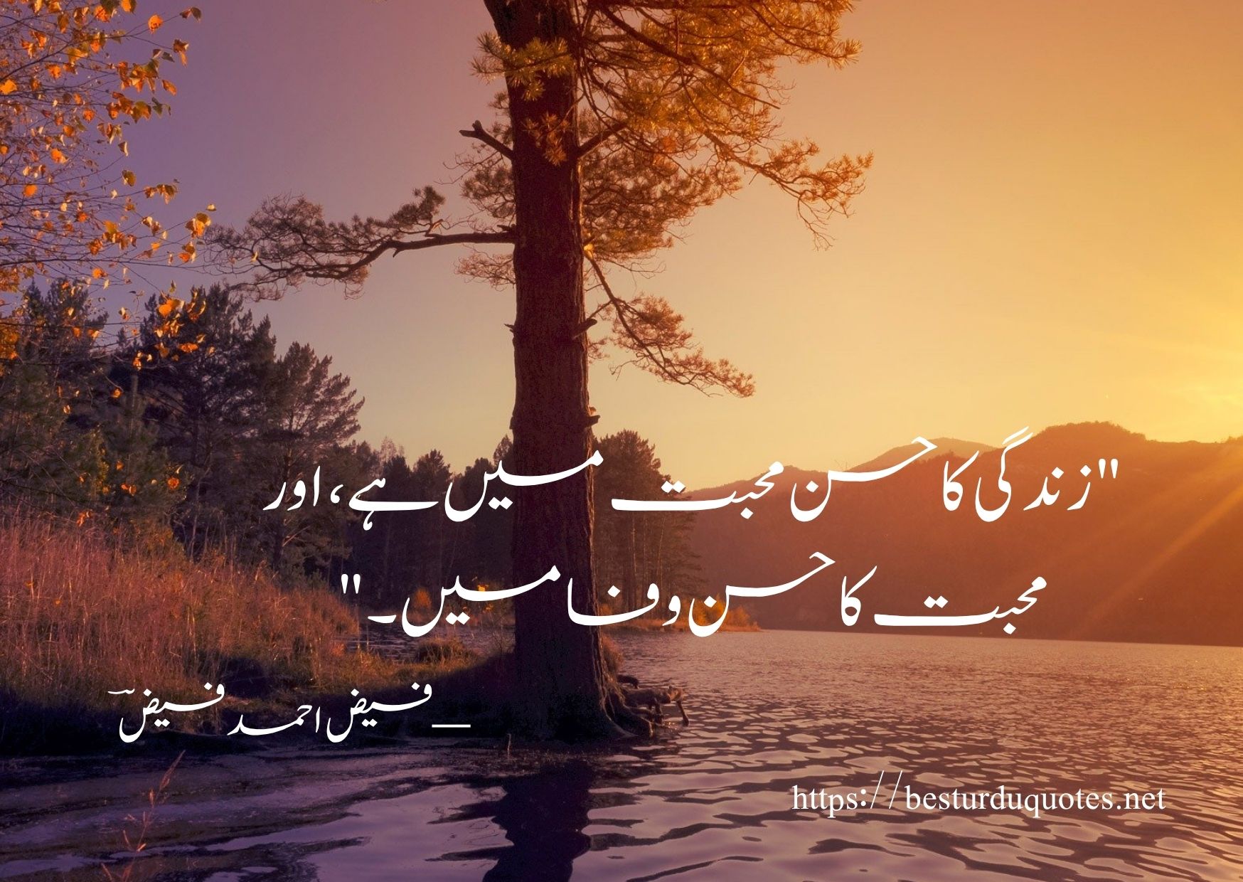 100 Most Powerful Urdu Quotes About Life and Love 9 100 Most Powerful Urdu Quotes About Life and Love