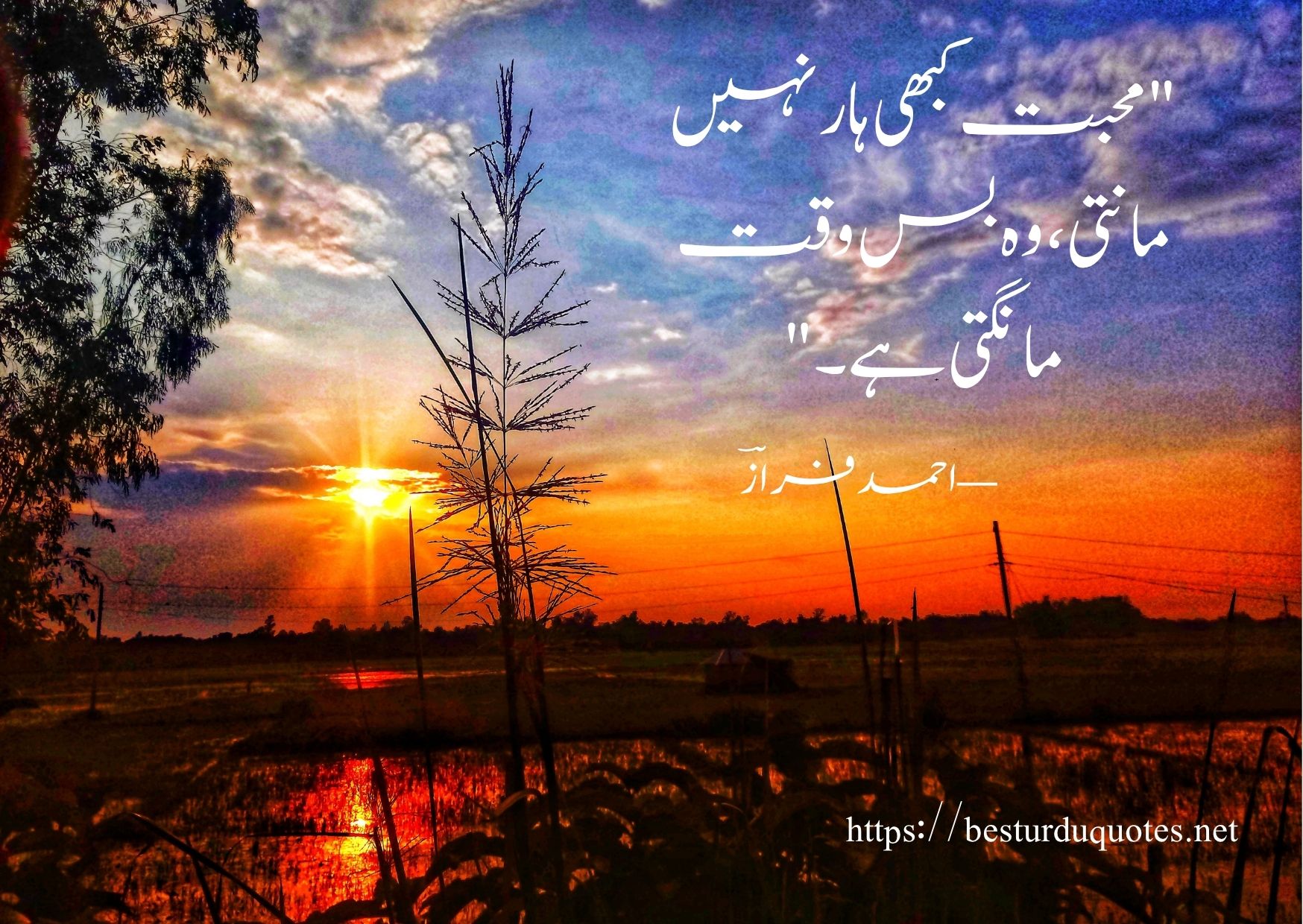 100 Most Powerful Urdu Quotes About Life and Love 10 100 Most Powerful Urdu Quotes About Life and Love