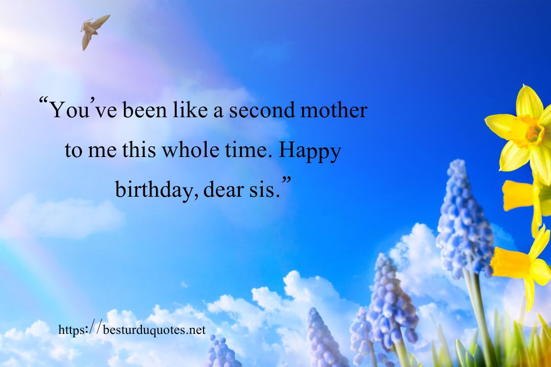 Happy Birthday Sister Quotes