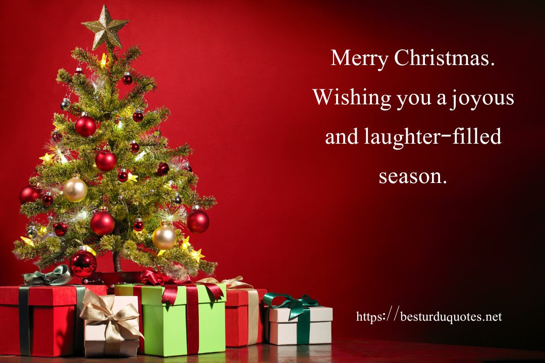 Merry Christmas