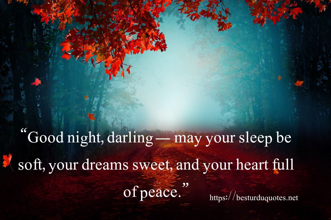 Best Good Night Love Quotes – Romantic Messages for Your Partner 7 Best Good Night Love Quotes