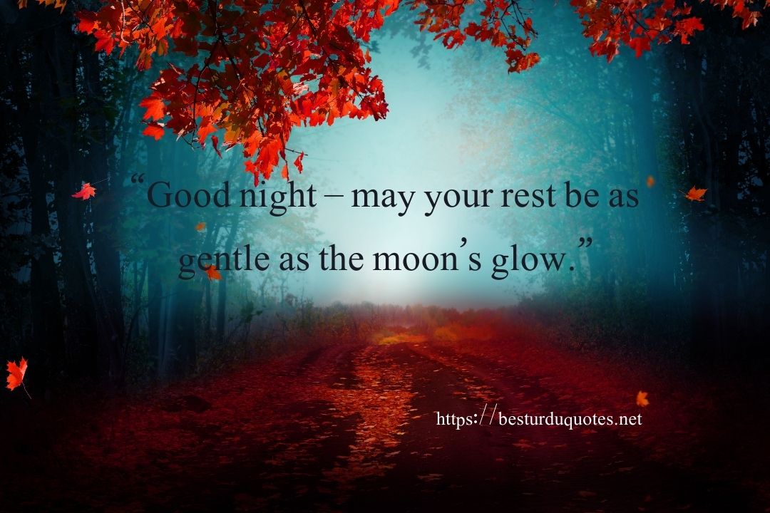 Good Night Quotes and Pics – Beautiful Messages & Images 7 Good Night Quotes and Pics