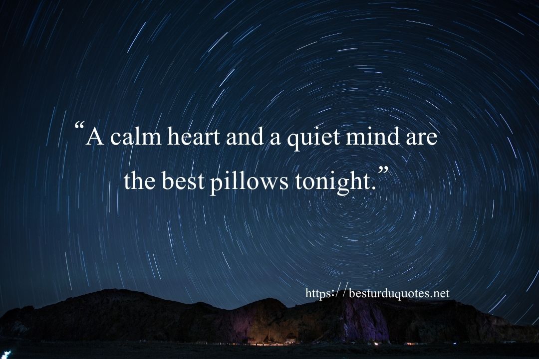 Good Night Quotes and Pics – Beautiful Messages & Images 8 Good Night Quotes and Pics