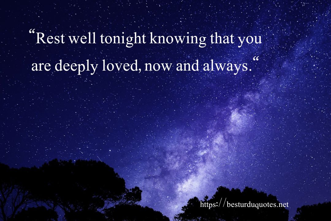 Best Good Night Love Quotes – Romantic Messages for Your Partner 12 Best Good Night Love Quotes