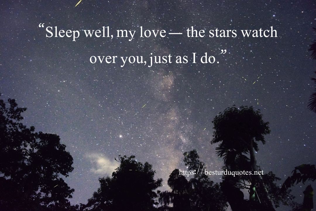 Good Night My Love Quotes