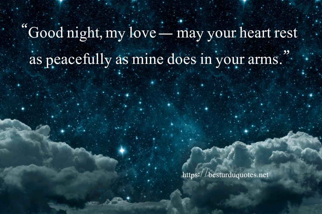 Good Night My Love Quotes