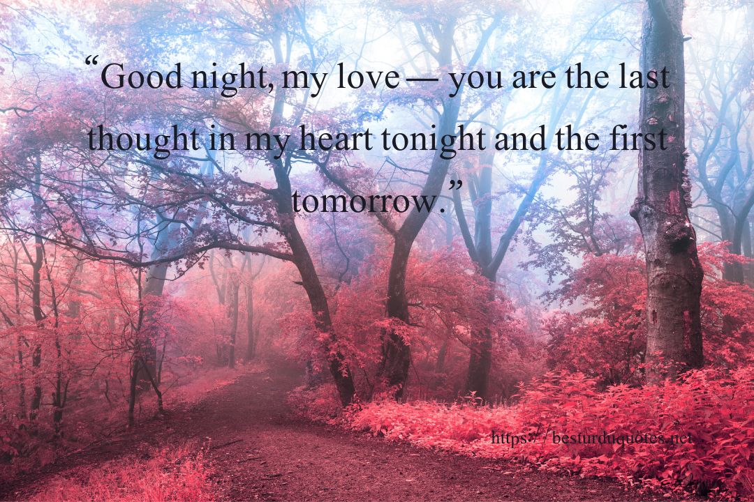 Good Night My Love Quotes