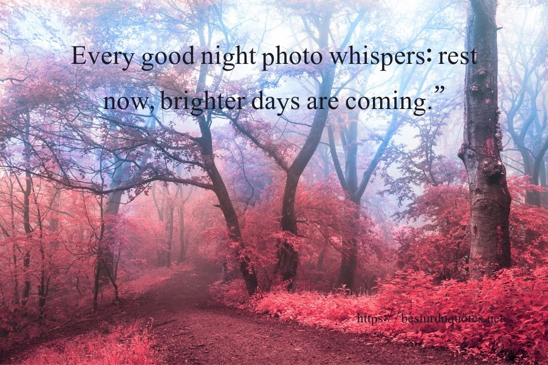 Good Night Photos and Quotes