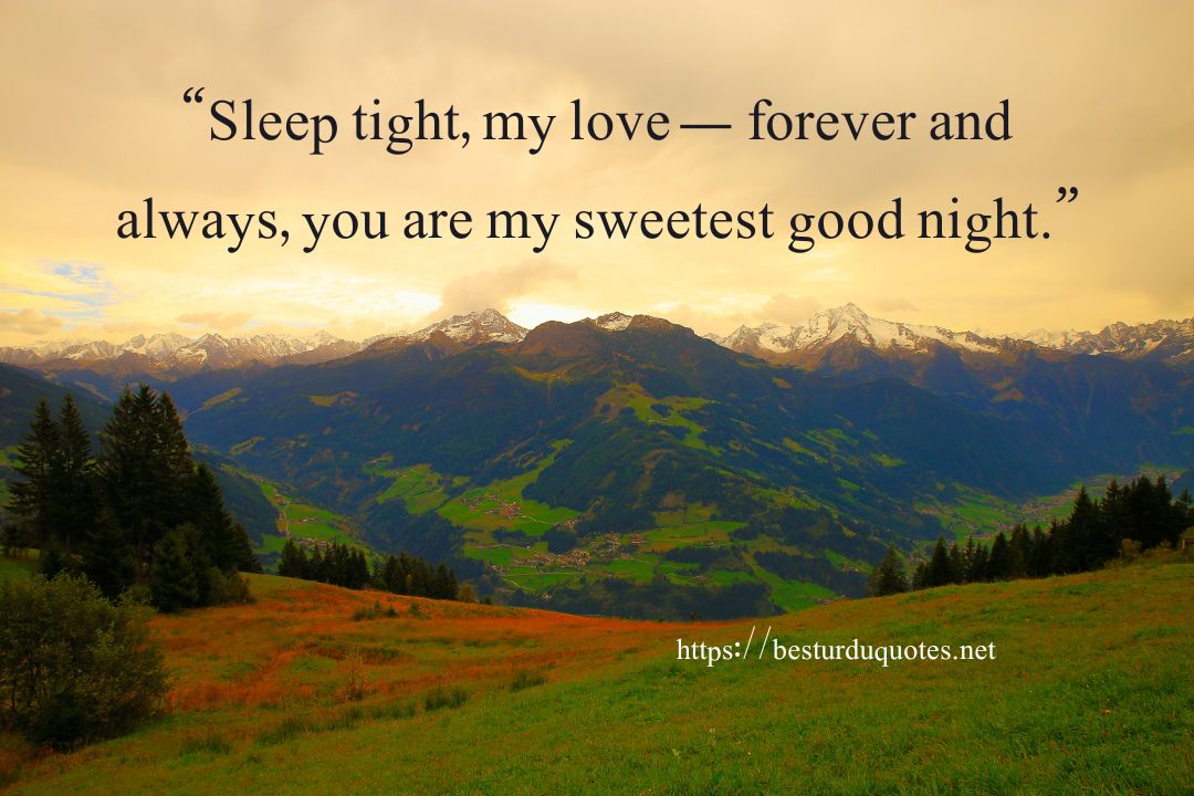 Good Night My Love Quotes