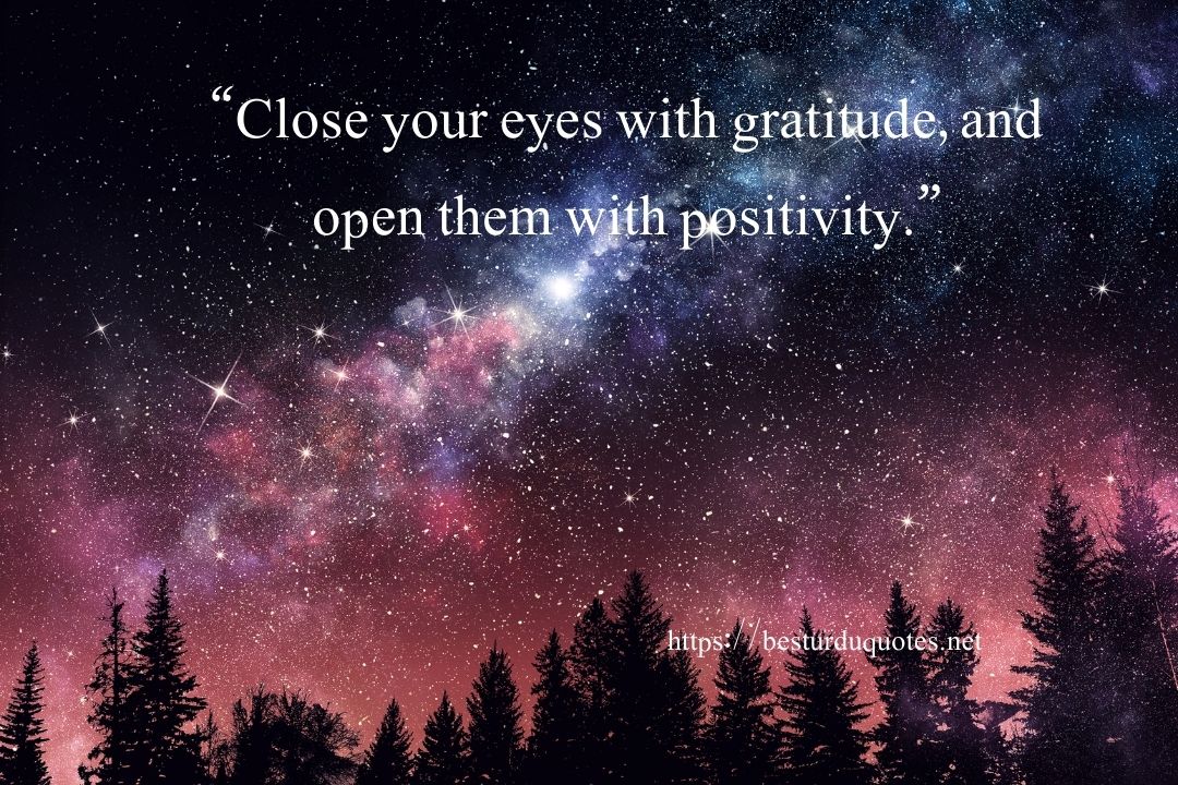 Positive Good Night Quotes 