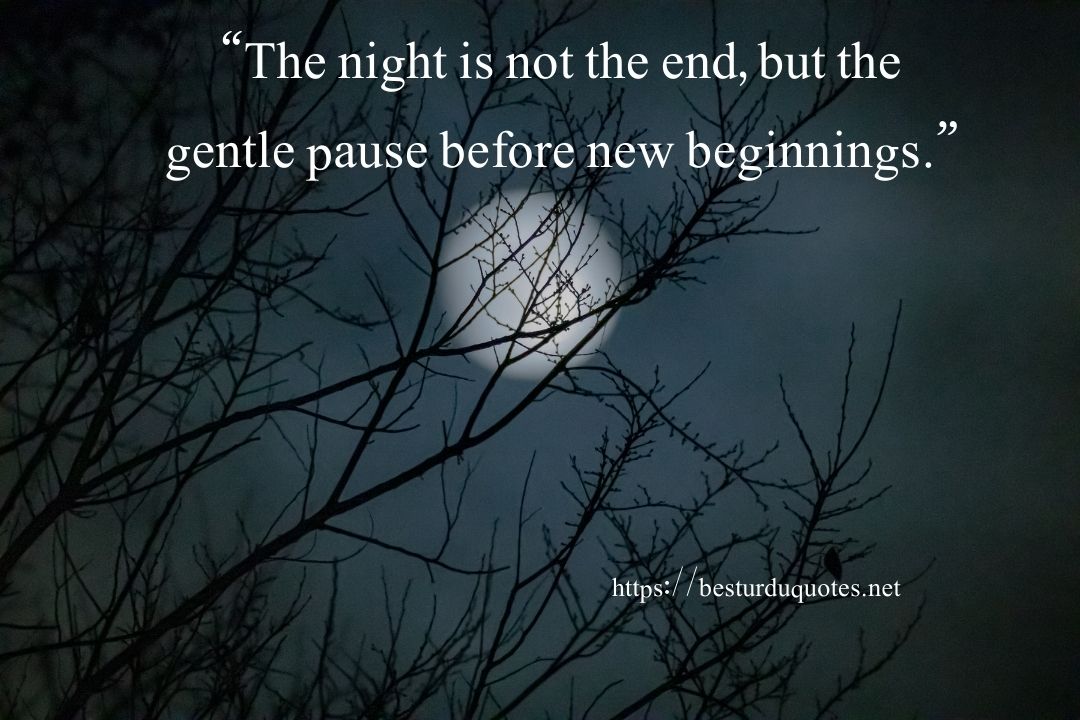 Positive Good Night Quotes 