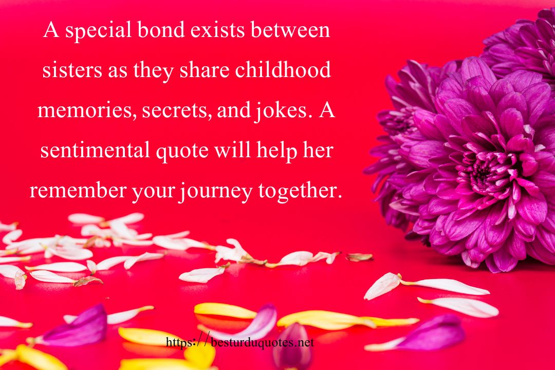 Happy Birthday Sister Quotes
