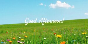 The Ultimate Guide to Good Afternoon GIF