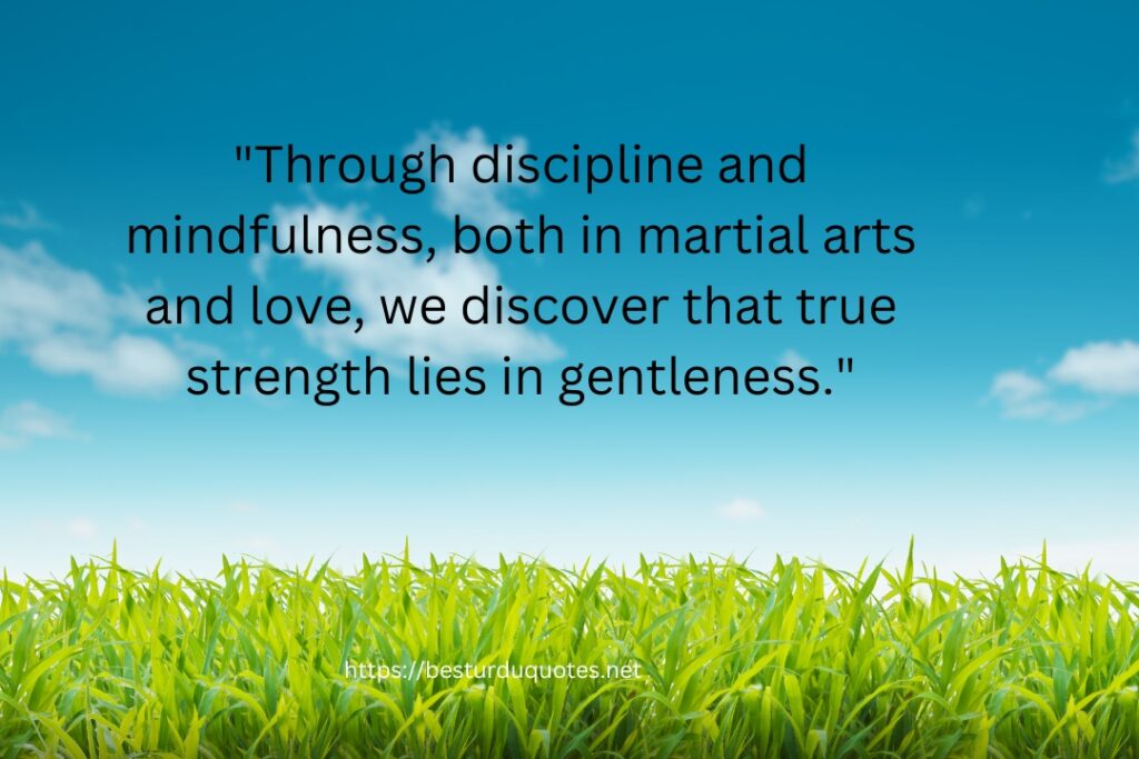 Buddhist Quote Martial Arts Love​