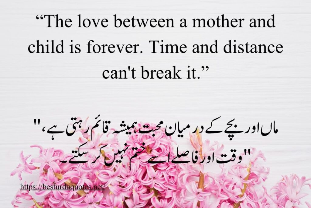 Best Mother Day Quotes to Show Your Love