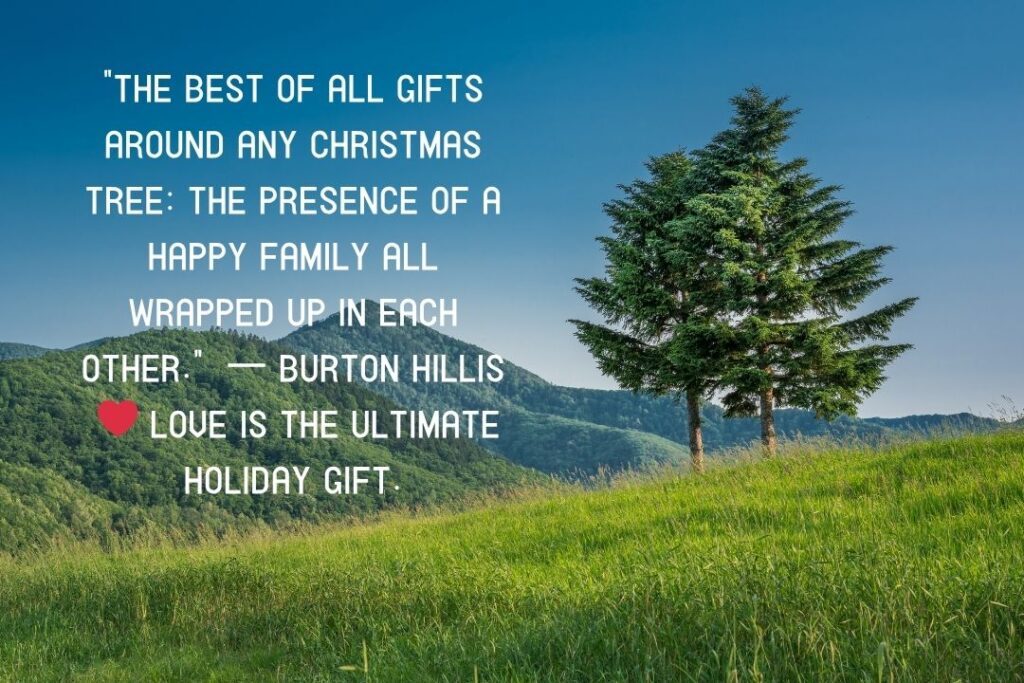 50 Magical Christmas Quotes to Warm Your Heart