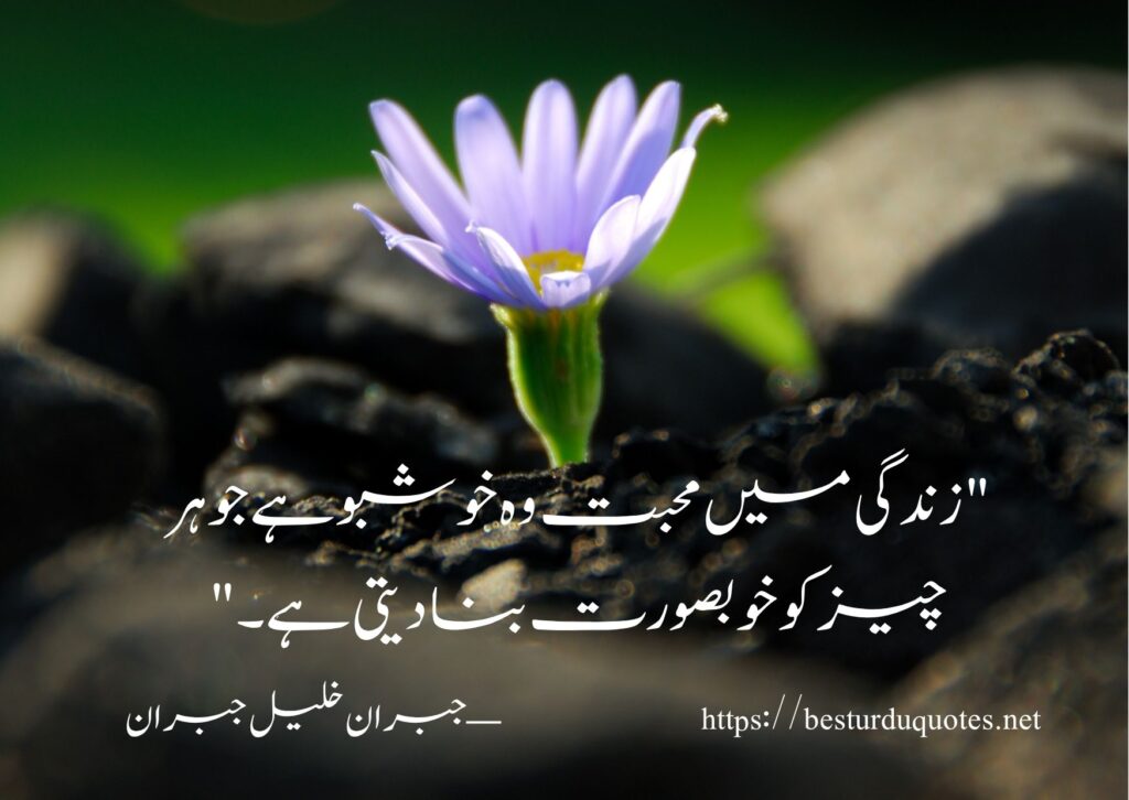 100 Most Powerful Urdu Quotes About Life and Love
