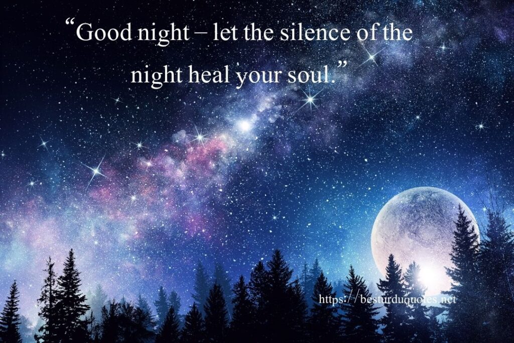 Good Night Quotes and Pics