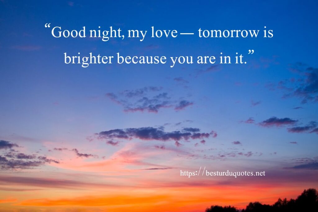 Good Night My Love Quotes