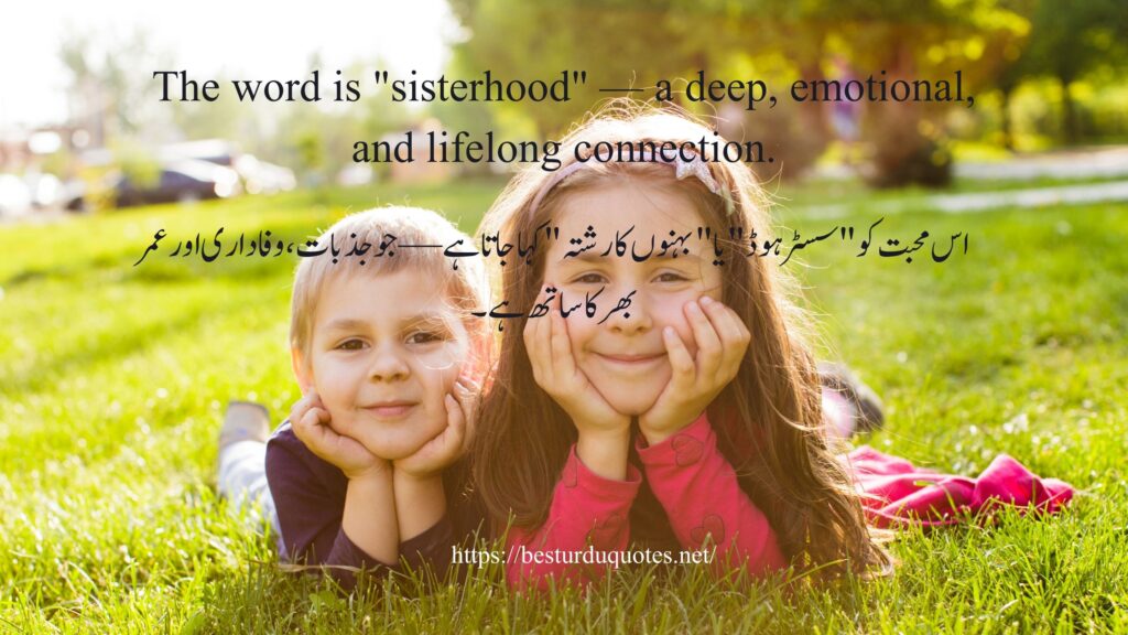 Beautiful Sister Quotes in Urdu | بہن پر خوبصورت اقوال